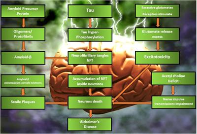 Nanomedicines in the Management of Alzheimer’s Disease: Current View and Future Prospects